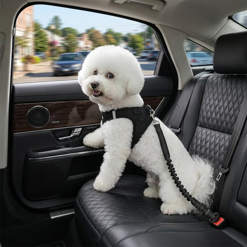 🔥Buy 1 Get 1 FreePet Dog &Cat Seat Belts for Cars