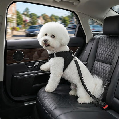 🔥Buy 1 Get 1 FreePet Dog &Cat Seat Belts for Cars