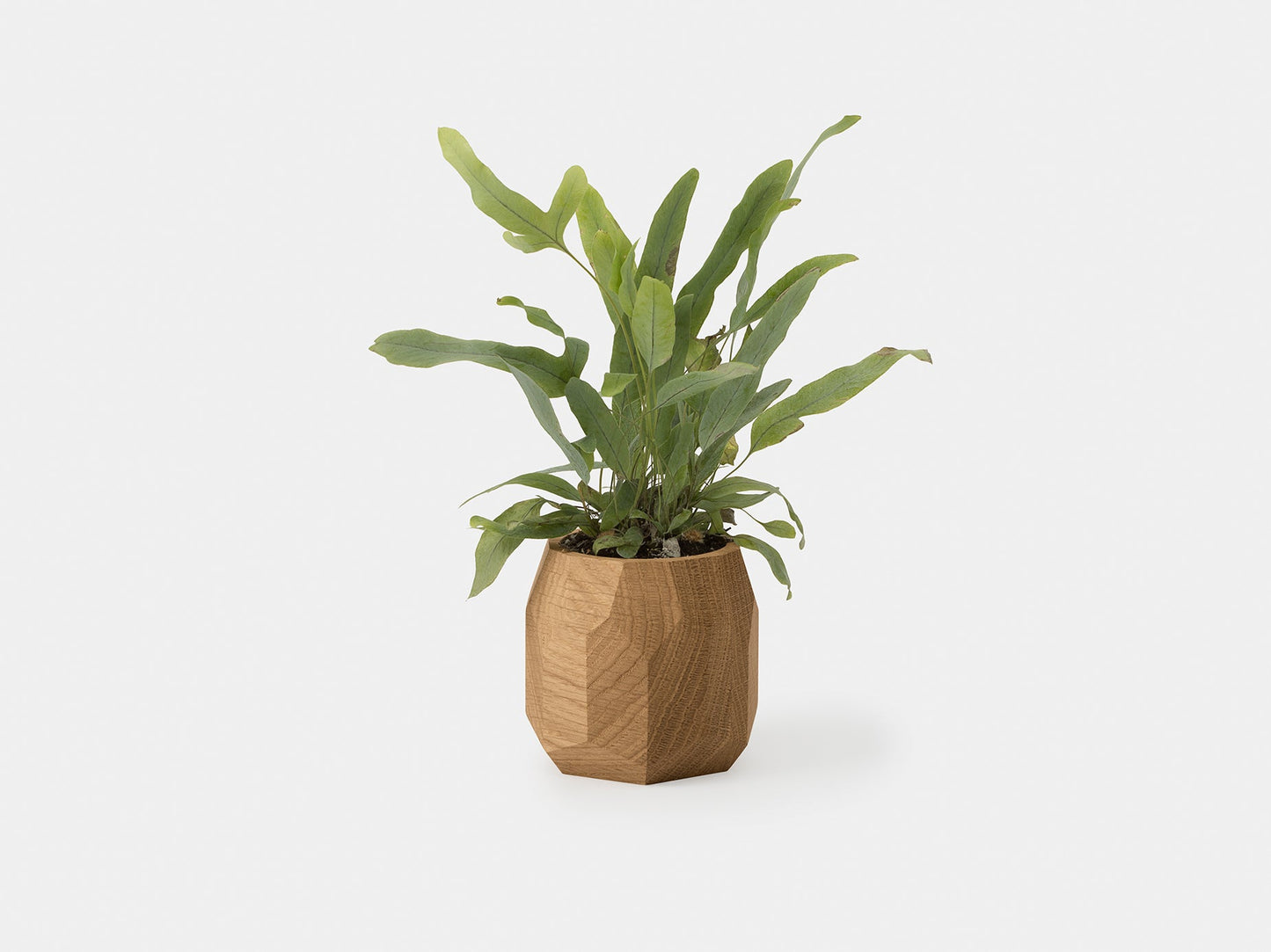 Geometric Pot