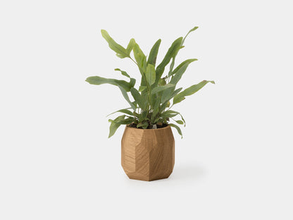 Geometric Pot