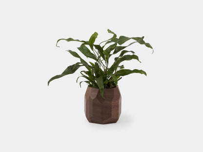 Geometric Pot