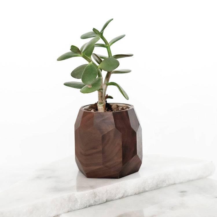 Geometric Pot