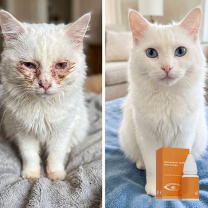🔥Buy 1 Get 1 Free—Pet Eye Drops